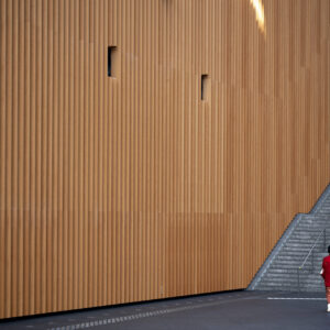 Bamboo Fibre Panel