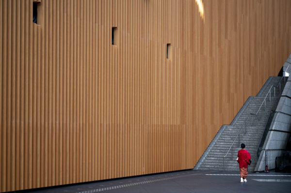 Bamboo Fibre Panel